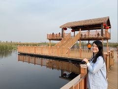 -白洋淀景区