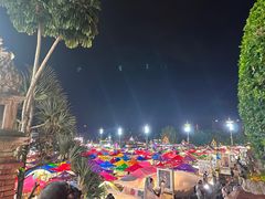 -西双版纳傣族园