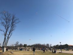 -滆湖低碳生态公园