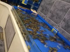 水产区-蒸上鲜海鲜蒸汽蒸菜主题餐厅(高新店)