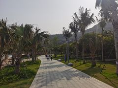 -大梅沙海滨公园