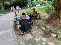 -成都市活水公园