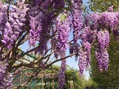 -北京京宝行宝马4S店(闵庄路店)