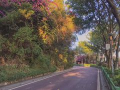 -金鸡山公园