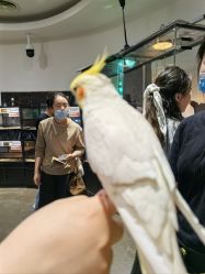 -Zoolung Zoolung动物主题公园(海信广场店)