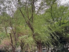 -湖北美术学院(昙华林校区)