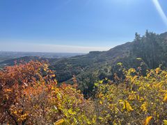 -北京西山国家森林公园