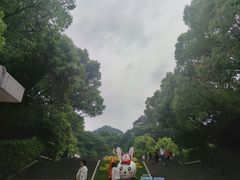 -杭州少年儿童公园