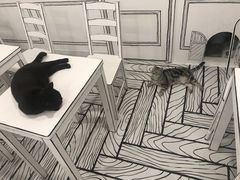 -白夜2D咖啡馆