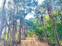 -青龙山国家森林公园