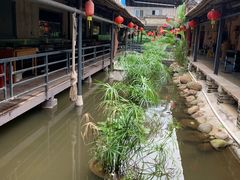 -鹅城