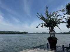 -浙江西子宾馆·牡丹厅