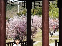 -石塘人家