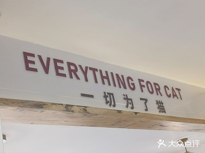 喵园·猫主题咖啡厅·撸猫·猫咖(国贸店)图片