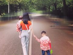 -艾溪湖湿地公园