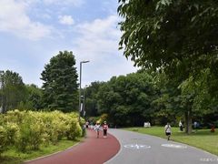 -天鹅湖体育公园