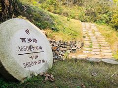 -千年银杏谷文化旅游区
