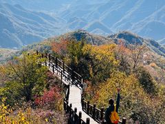 -大岭沟猕猴桃谷风景区