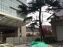 -中国福利会少年宫