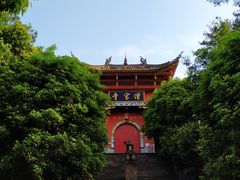 -铁山坪森林公园