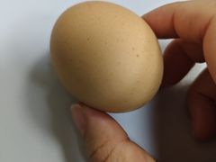 -牛New寿喜烧(新六百店)