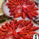 魔都的夜生活怎能少了小龙虾的身影