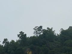 -三水森林公园