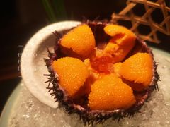 马粪海胆-山葵家·创意料理(宁波来福士店)