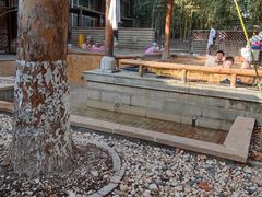 -春晖园度假酒店温泉