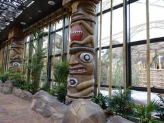 -杭州开元森泊度假乐园