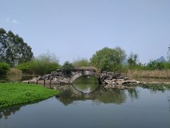 -会仙湿地