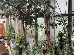 -上海大自然野生昆虫馆