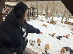 -宫城藏王狐狸村