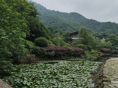 -桃花岭景区