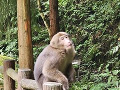 -西岭雪山大飞水景区