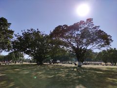 -东莞植物园