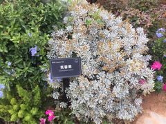 -东莞植物园