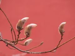 -东华门大街小区