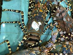 -渔民新村(番禺总店)