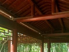 -赭山公园