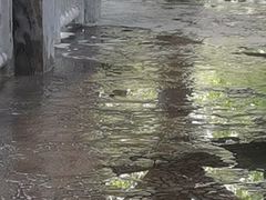 -济南方特东方神画