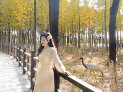 -艾溪湖湿地公园