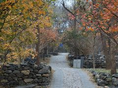 -阳台山自然风景区