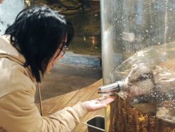 -Zoolung Zoolung动物主题公园(海信广场店)