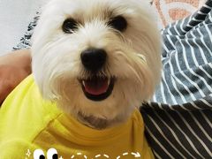 -畜牧兽医站(共江路店)