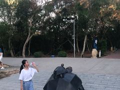 -广东惠东海龟国家级自然保护区