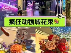 -美罗城