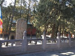 -少林寺景区