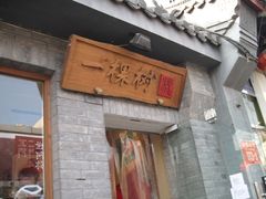 -一棵树(雨儿胡同)