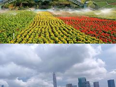 -深圳野生动物园